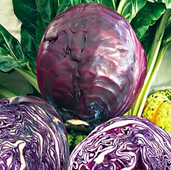 Choux cabus rouge (100gr - Q. min 800g)