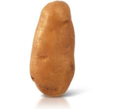 AR Pomme de terre &quot;chair FERME&quot; BIO (100gr)