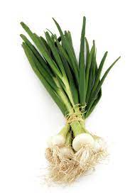 Oignons blancs frais gros - Botte (4)