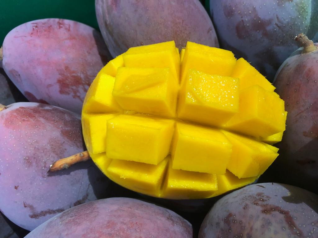 AR Mangue BIO (100gr)