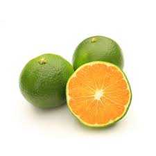 AR Mandarine satsuma BIO (100g) 