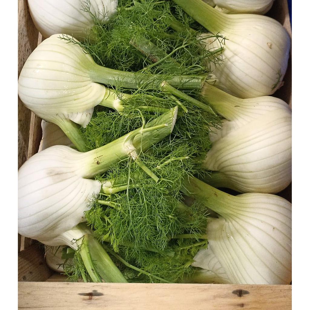 AR Fenouil BIO (100gr)